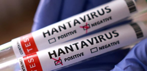 Ai hantavirusa qarşı hərəkətə keçdi: Peyvənd və müalicələr hazırlanır