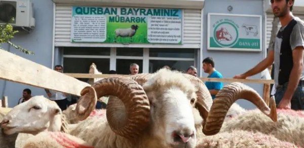 SOSİAL