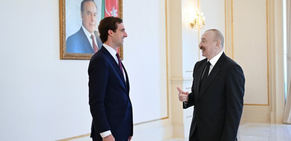 Prezident ABŞ Dövlət katibinin köməkçisini qəbul etdi - Fotolar