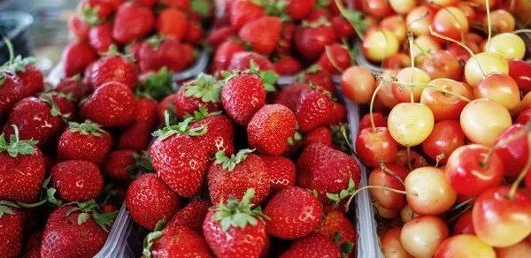 Rusiya Ermənistandan növbəti məhsulların idxalına qadağa qoydu