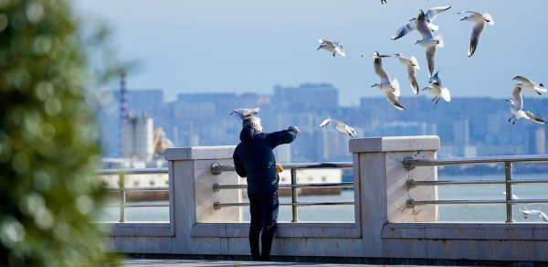 Sabah hava necə olacaq?