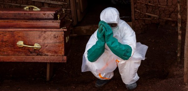 Ebola virusu Azərbaycana gələ bilər? - Professor açıqladı