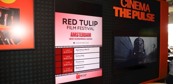 Amsterdamda “Qırmızı bağ” filmi nümayiş etdirildi - VİDEO