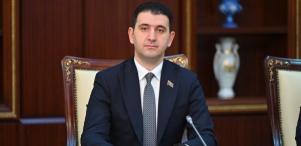 "Vətəndaş kol-kosu təmizləməyə çalışanda müxtəlif cərimələrlə üzləşir" - Deputat