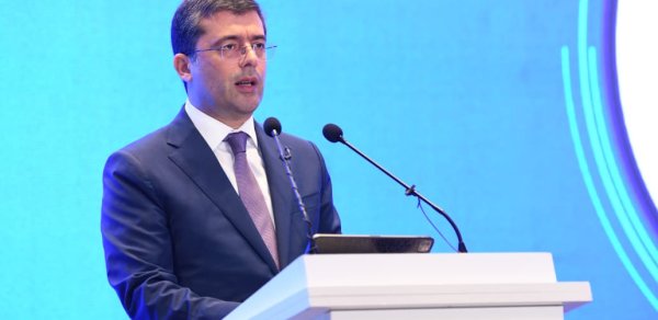 "Erkən yaşlarda tənzimlənməyən sosial şəbəkə istifadəsi problemlərə səbəb ola bilər"