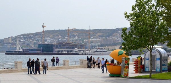 Bakıda da peyda olmağa başlayır - Qarşınıza çıxsa, dərhal uzaqlaşın