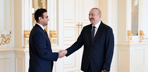 Prezident ABŞ Konqresinin Nümayəndələr Palatasının üzvünü qəbul etdi - FOTO