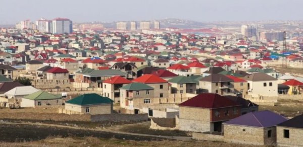 Havalar isindikcə üzə çıxırlar: Bakıda da yayılıb - Ekspert çarəni açıqladı