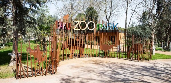 Bakı zooparkı ləğv olunur