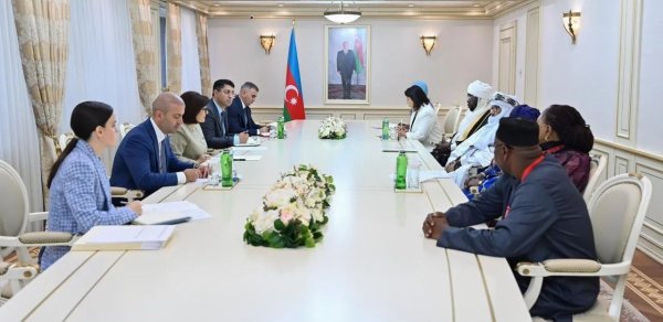 Sahibə Qafarova Afrika Qrupu nümayəndələri ilə görüşdü