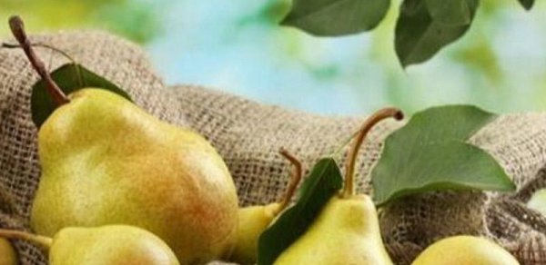 Daha bol məhsul üçün yayda budanmalı olan 7 meyvə ağacı