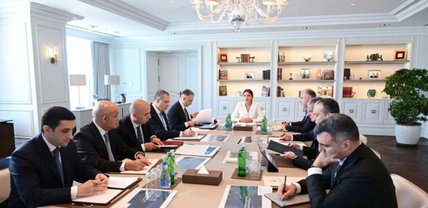 Birinci vitse-prezident Mehriban Əliyevanın sədrliyi ilə Rəqəmsal İnkişaf Şurasının ilk iclası keçirilib - FOTO