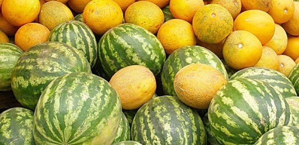Bazarlarda erkən qarpız və yemiş satılır - Bunlara diqqət edin...