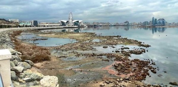 Xəzər dənizi sürətlə kiçilir: Azərbaycan rəsmisi narahatedici rəqəmləri açıqladı