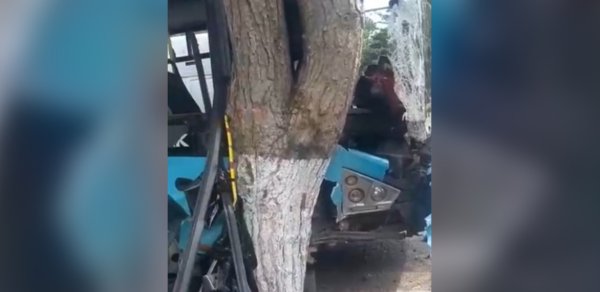 Bakıda marşrut avtobusu ağaca çırpıldı, 11 nəfər yaralandı - Video