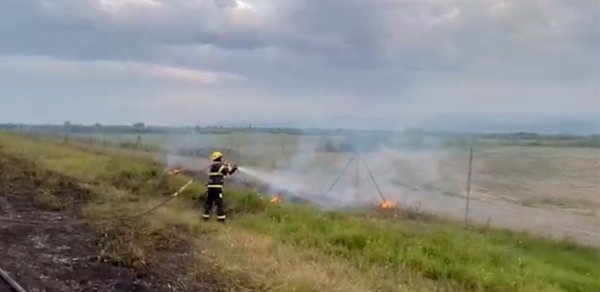Lənkəranda açıq ərazidə baş verən yanğın belə söndürüldü - Video