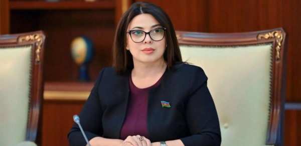 Xanım deputata ağır itki