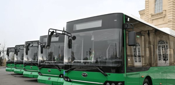 Bakıda ödənişsiz avtobuslar fəaliyyətə başlayıb - VİDEO