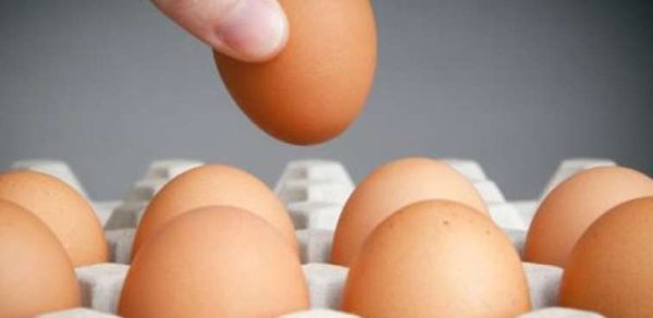 Yumurtanın təzə olub-olmadığını necə yoxlamaq olar?