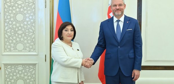 Sahibə Qafarova Pelleqrini ilə görüşüb - Foto