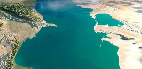 Ekoloq Xəzərlə bağlı çoxlarını narahat edən suala aydınlıq gətirdi