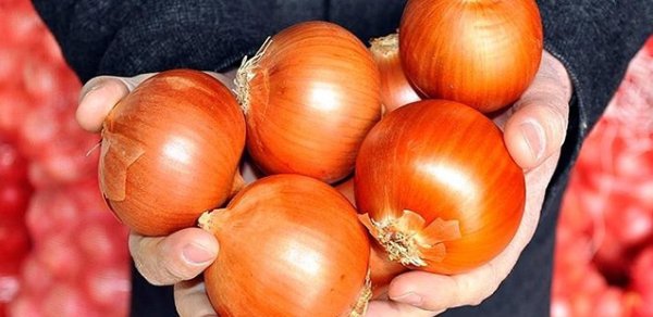 Sahədə soğan yığarkən öldü