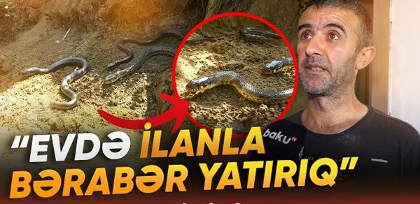 Binəqədidə torpaq sürüşməsindən sonra evlər qəzalı vəziyyətdə - "Axşam ilanlar da gəlir" - VİDEO