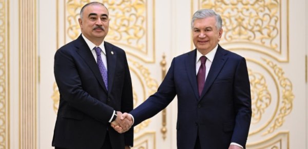 Rəşad Məmmədov etimadnaməsini Şavkat Mirziyoyevə təqdim etdi