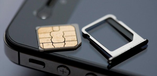 Mobil nömrəyə çox pul verənlər nə düşünür? - Ekspert açıqladı