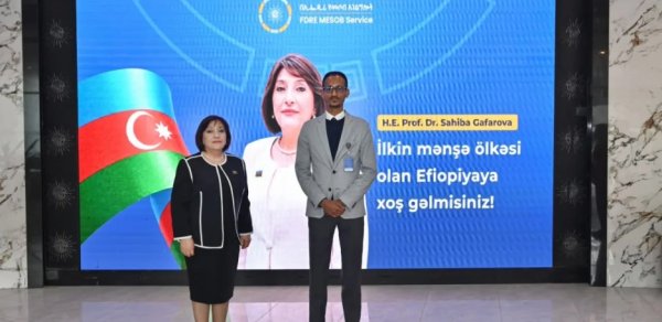 Milli Məclisin nümayəndə heyəti Efiopiyada tarixi məkanları ziyarət edib - FOTOLAR