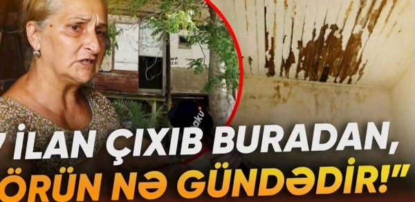 "O qədər bərbad vəziyyətdədir ki, evdən yeddi ilan çıxıb" - Neft milyonçusunun Mərdəkandakı mülkü baxımsız halda - VİDEO