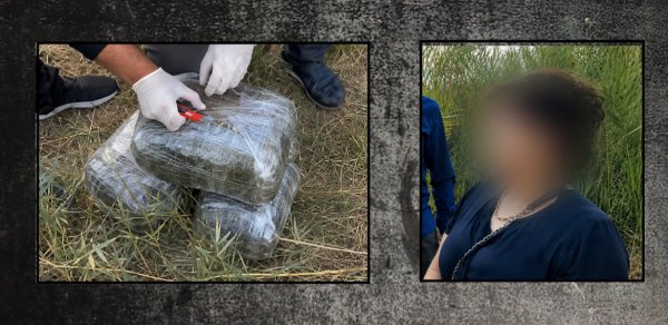 İmişlidə 10 kiloqram narkotik dövriyyədən çıxarıldı