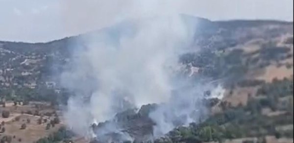 Bursada meşə yanğını başlayıb