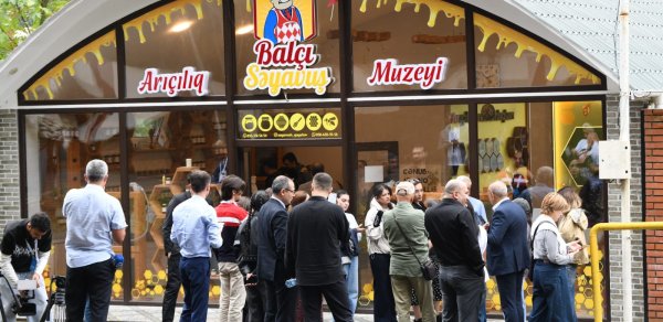 Arıçılıqda yeni dövr: pətəklərə SMS-lə nəzarət edilir