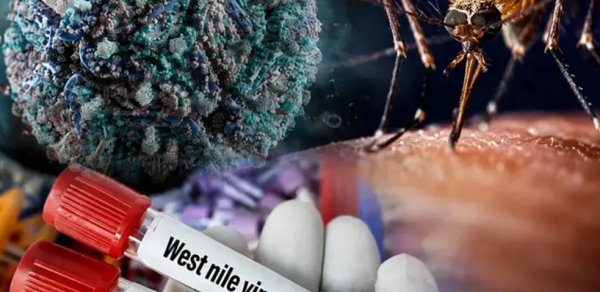 Yunanıstanda virus həyəcanı: Bir həftədə 34 yeni yoluxma