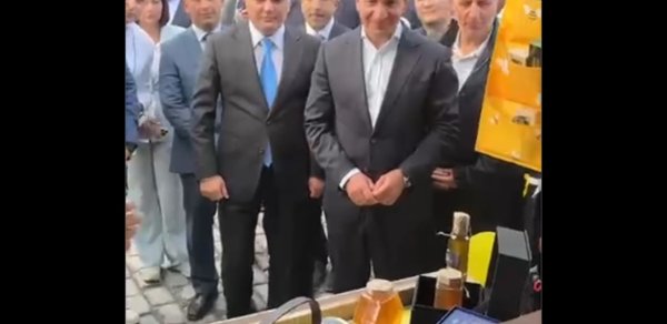 Kəlbəcərdə Bal Festivalından - Görüntülər