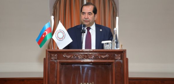 "Qarabağ reallığı Ermənistanın revanşist dairələrini narahat edir"