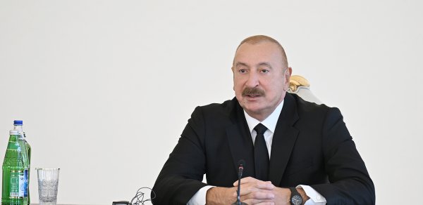 “Ancaq yırtıcı rəhbərləri üçün villalar tikmişdilər” - Video