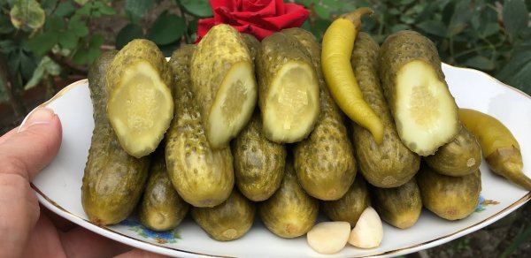 Xiyar turşusundan milçək çıxdı: AQTA araşdırmaya başladı