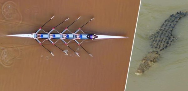 Avarçəkənlər Olimpiadada timsahlarla yarışacaqlar