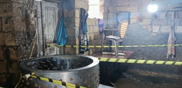 Masallıda qanunsuz toyuq kəsimi sexləri aşkarlandı – Fəaliyyətləri məhdudlaşdırıldı