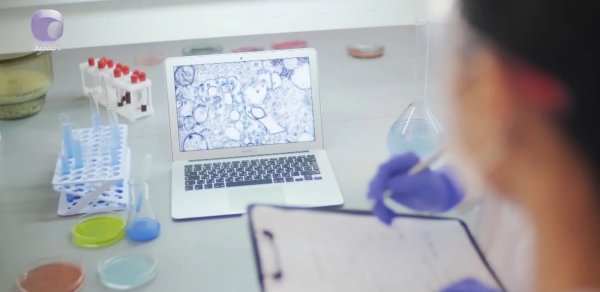 Payızda mövsümi infeksiyalardan qorunmaq üçün nələrə diqqət etmək lazımdır? - VİDEO