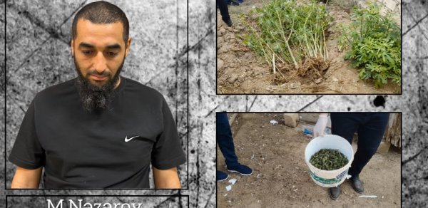 Hacıqabulda narkotik tərkibli bitkilər yetişdirən şəxs saxlanıldı