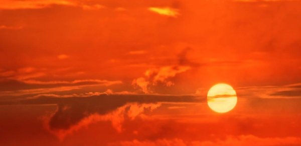 76 ilin iqlim rekordu qırıla bilər - “El Nino” ilə bağlı xəbərdarlıq