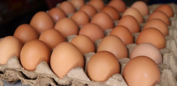 Kənd yumurtası niyə bahalaşır? - İqtisadçı açıqladı