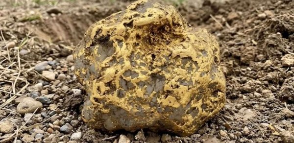 9 kiloqramlıq qızıl külçə tapdı - 750 min dollara satıldı