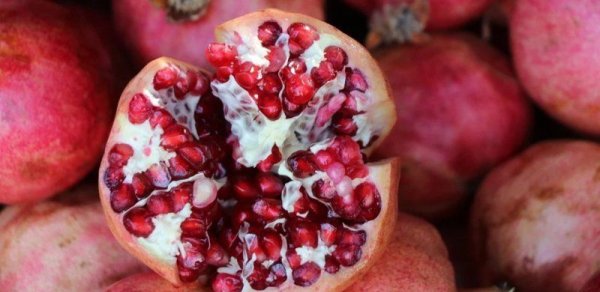 Nardakı ağ pərdə özü qədər faydalıdır