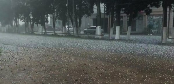 Lənkəranın 5 kəndinə dolu düşdü