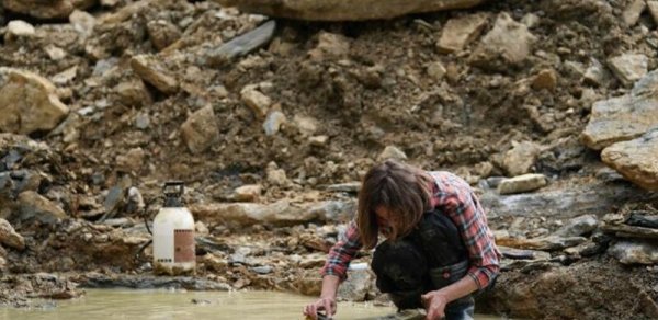 Çində dinozavrabənzər quş qalıqları tapıldı