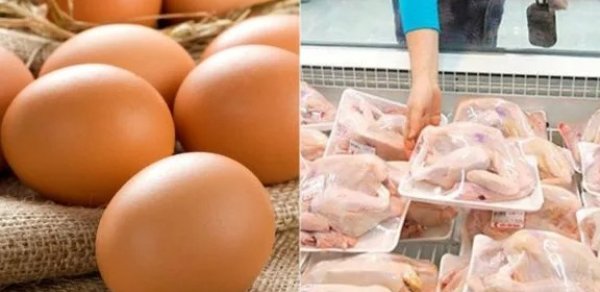 Azərbaycanda quş əti və yumurta istehsalı artıb